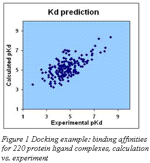 Подпись: Figure 1 Docking example: binding affinities for 220 protein ligand complexes, calculation vs. experiment