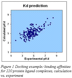 Подпись:   Figure 1 Docking example: binding affinities for 220 protein ligand complexes, calculation vs. experiment