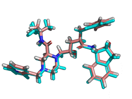 Superposition of crixivan in X-Ray snapshot with calclated one